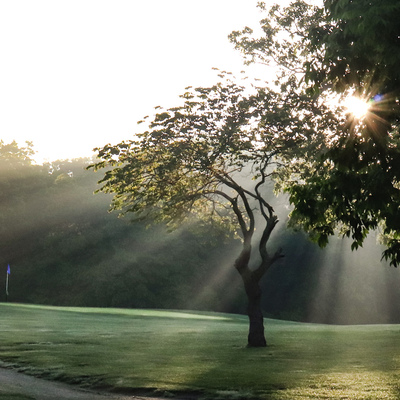 HCC at dawn (Photo by Ali Grace Photography)