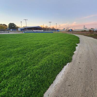 New Outfield Grass and Warning Track at Johnsonville Field - new fence soon